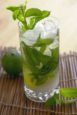 [CHAT TOPIC] Ichiraku Ramen Bar Mojito