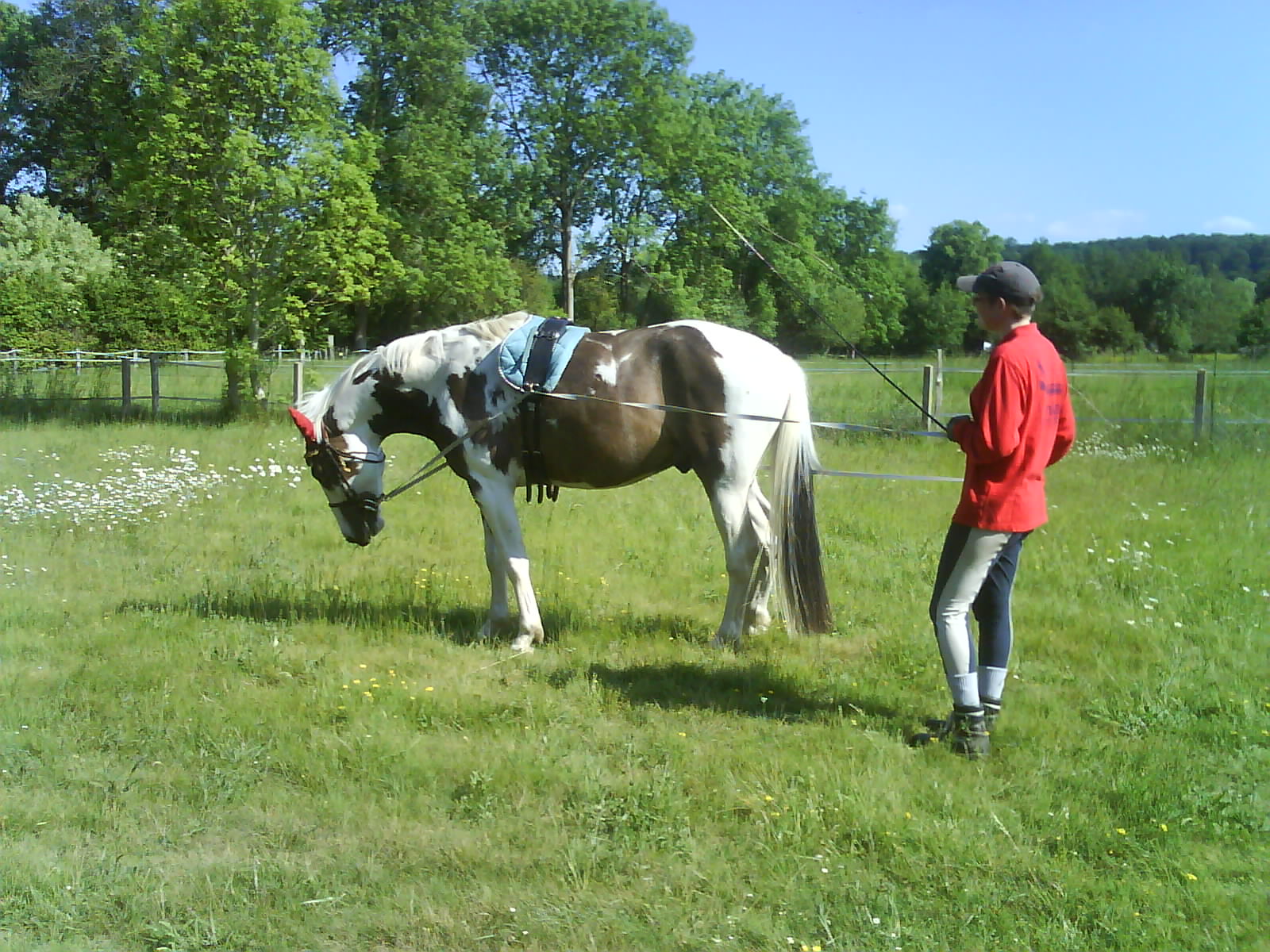 travail à pieds avec Billy DSC00778