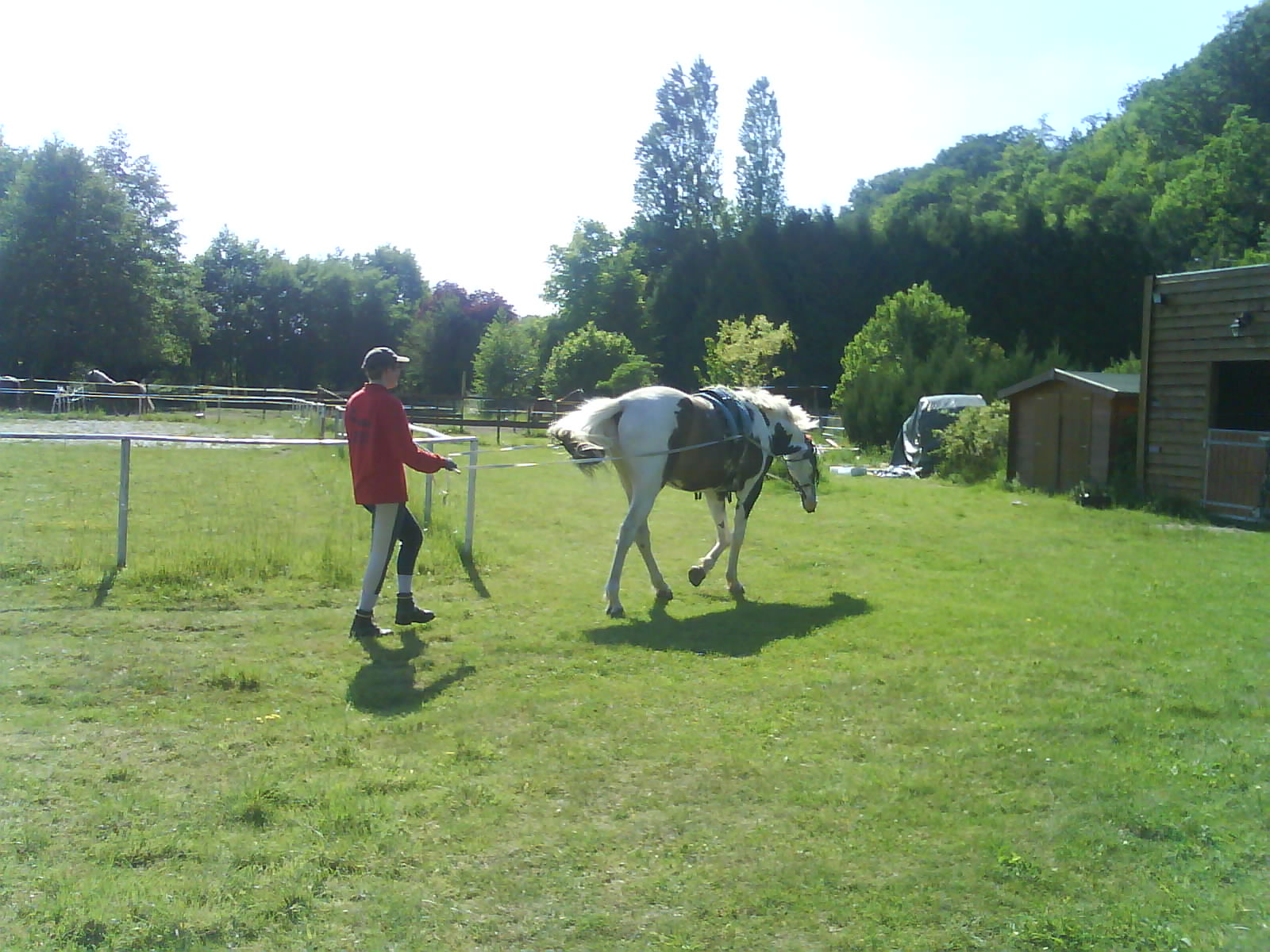 travail à pieds avec Billy DSC00782