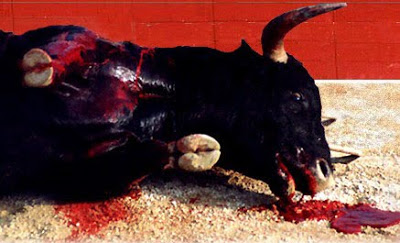 Catalunya se pregunta si el dolor d los toros es ético[PROU] Anti_corrida-1