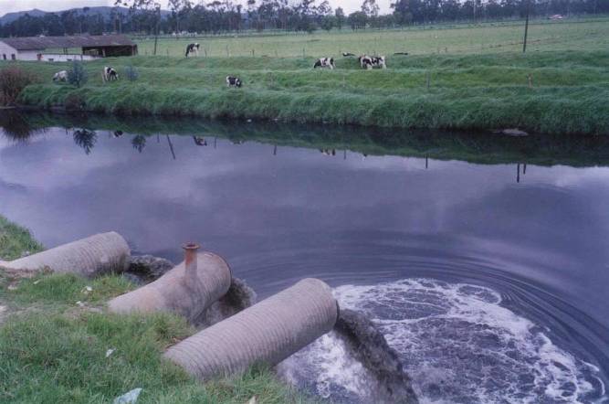 Este es nuestro mundo Agua-CONTAMINACION-REFERENDO-AGUA-MINI