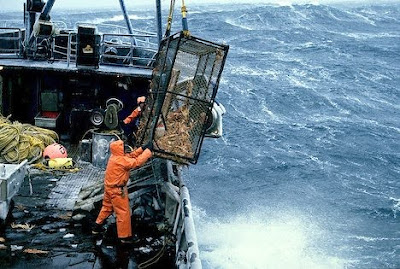 இப்படியும் கஷ்டப்பட்டு மீன் பிடிக்கிரார்கள் Crab-fishing1