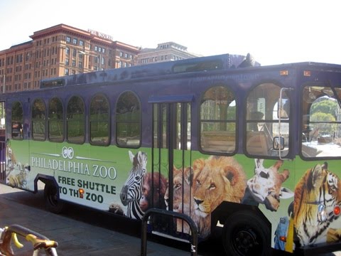 மிருகங்களை ஞபகப்படுத்தும் பேருந்துகள் Zoo%2BBuses%2B%289%29.