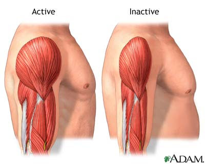 رياضة كمال الأجسام سبب جديد للإقلاع عن التدخين Active-vs-inactive-muscle