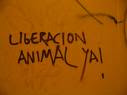 El animalismo que admiro y me duele Liberacionya