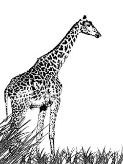 அக்னி குண்டத்தில் வளர்ந்த அறிவு Ist2_138337-animal-ink-sketch-drawing-of-giraffe