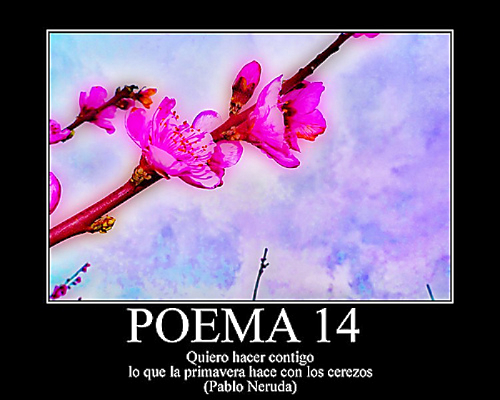 corazones enamorados...poemas - Página 20 P14