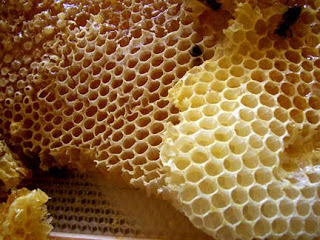 தேனின் மருத்துவம் Honey