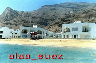 أكبر موسوعة تتحدث عن مدينة السويس.. 132