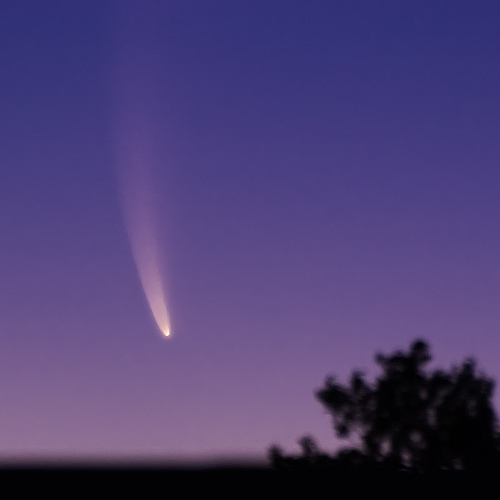 COMETA ELENIN 2011  Cometa