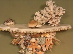 &#4326;**&#4326;&#4326;**    &#4326;**&#4326;&#4326; Seashell-shelf