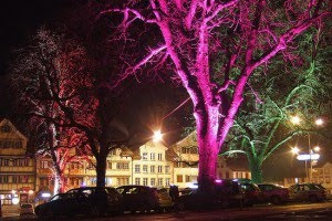 Nanotecnologia - Arboles que emiten Luz (bio-LED) Glowingtrees_37Oiq_54-300x200