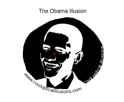 صور خداع البصر 2 Barack-obama-optical-illusion