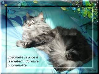 buonanotte sognatriciiiiiiiiii Buonaotte2