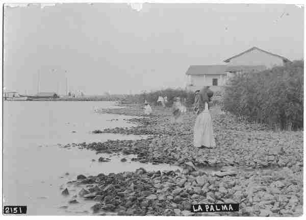 Georadar detecta Túnel en Iglesia Lapalma1909