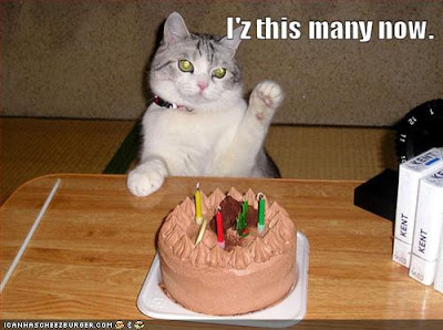 Dear Heath Funny-pictures-birthday-cat-can-count