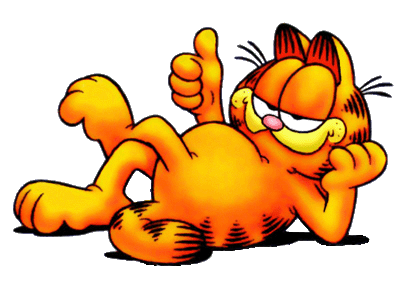 Huch, schon wieder ein Jahr um? Garfield