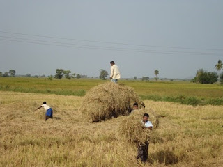 என்னை நினைவு இருக்கா ? DSC00541