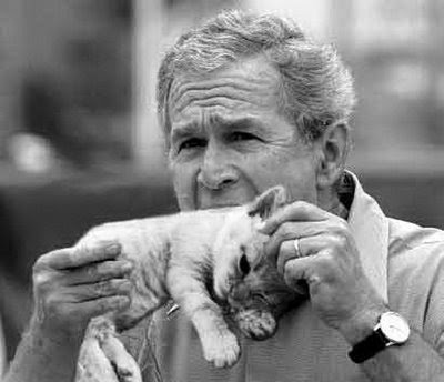 Si fueras un Yautja, ¿Cual seria tu trofeo mas preciado? George-bush-eats-a-kitten