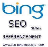 aides refereccement bin 6 Bing-referencement-astuces