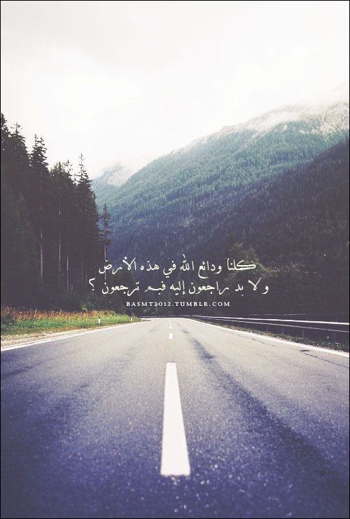 صِےـوِر مِےـنٌےـوِعَےـهےـِ Tumblr_n37nvaEMKd1rh1tuno1_500