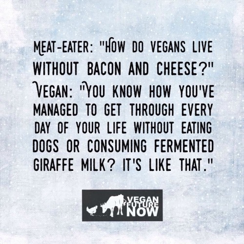 Stop Eating Your Friends! (Go Vegan)  - Page 8 Tumblr_nu6fmkeJnB1sohvpko1_500