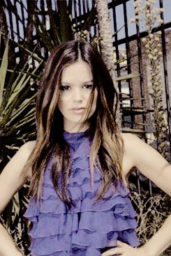 rachel bilson stock Tumblr_n6vkbvxpGZ1r3ab81o1_250