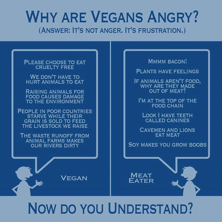 Stop Eating Your Friends! (Go Vegan)  - Page 5 Tumblr_nty2foZjOv1rpdwl9o1_1280