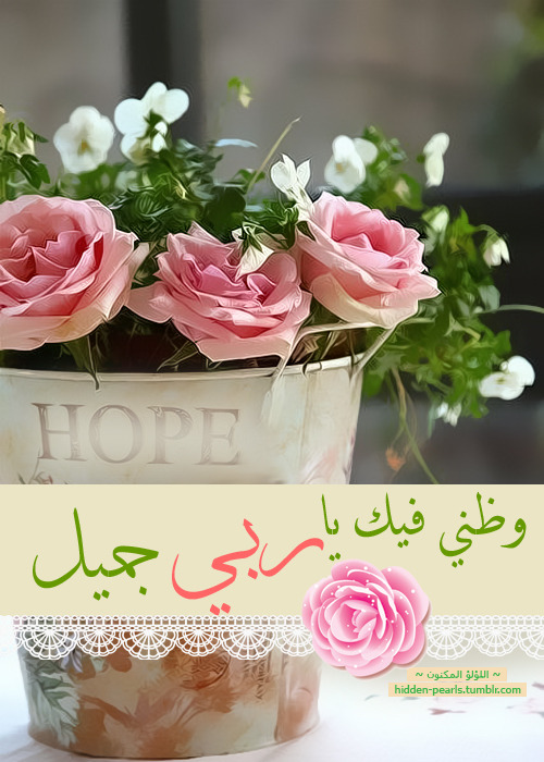 صور اسلامية Tumblr_mt3yk91Tsw1s8prleo1_500