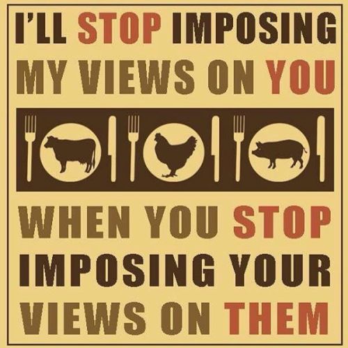 Stop Eating Your Friends! (Go Vegan)  - Page 5 Tumblr_nf92oeej3f1sq1m5wo1_500