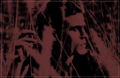 dean landon|twenty four|teacher|paul wesley Tumblr_nxqr9angoy1uvrypdo4_r2_500