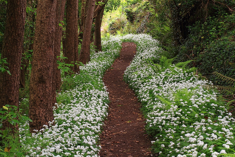 Pics of places that look like places from the films, or are just nice. [2] - Page 35 Tumblr_nehqisclh31svrh8zo8_1280