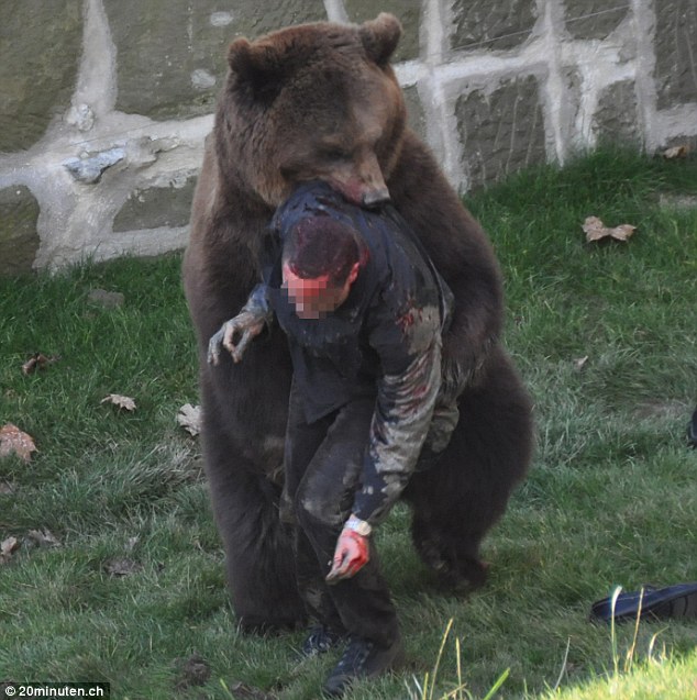 EURO 2012 Semi Finals Man-being-eaten-by-bear-wildlife-in-zombie-apocalypse