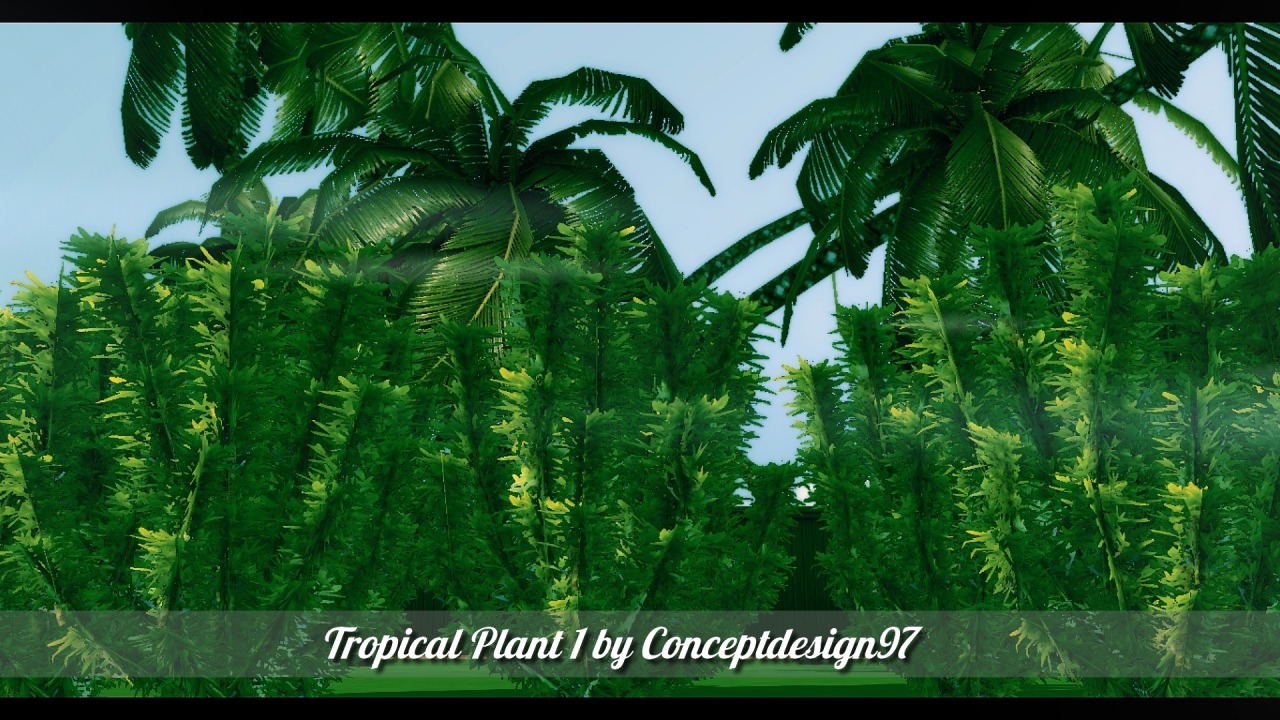 Plant 5 d. Tropic 10'5. Palm Trees SIMS 4 Mods. [Cd97]Pack 5 of 5 Palm Trees (merged). [Cd97]Pack 5 of 5 Palm Trees (merged) SIMS.