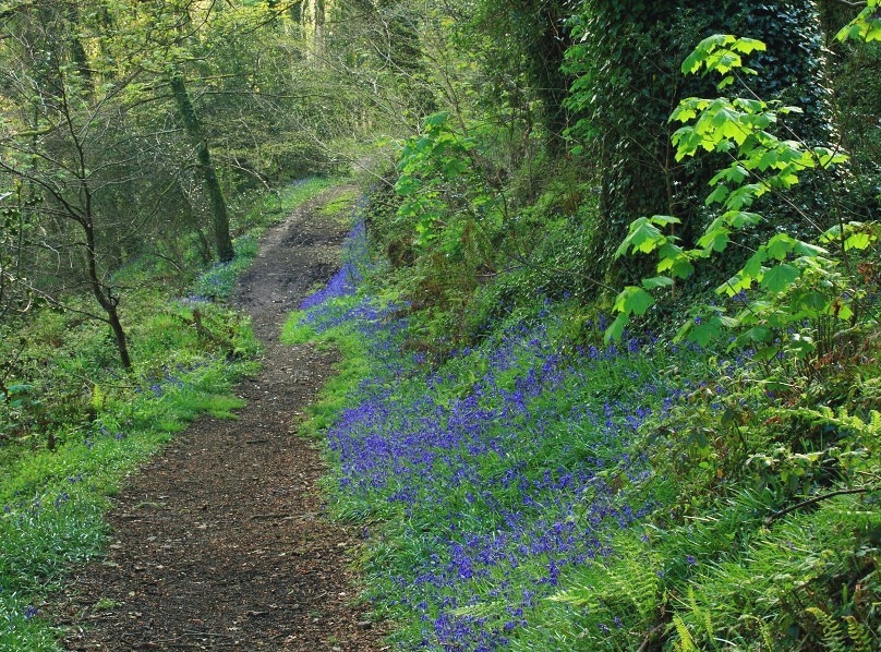 Pics of places that look like places from the films, or are just nice. [2] - Page 35 Tumblr_nehqisclh31svrh8zo9_1280