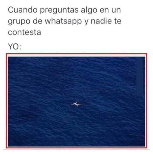 ¿Whatsapp sí o no? - Página 18 Tumblr_nxr5dhsA0y1si8u3ro1_500