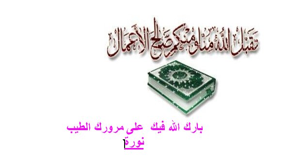 حصريآ د. ابراهيم اللفقى حلقه العطاء وقوة الادراك  PRIP.76879141.43.1