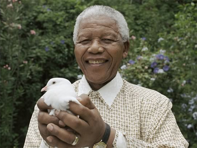 Ha Muerto Nelson Mandela  Belsonmandela_g