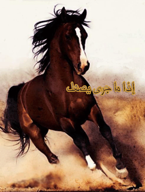 يـ الفكر ـحيرني ؛ فهل جسد إلا الذي تغلغل في الروح واستقر ؟! Tumblr_nhhs8imD8r1sp6750o4_500