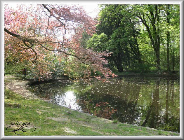 Parc de Mariemont (2009) -mariemont01