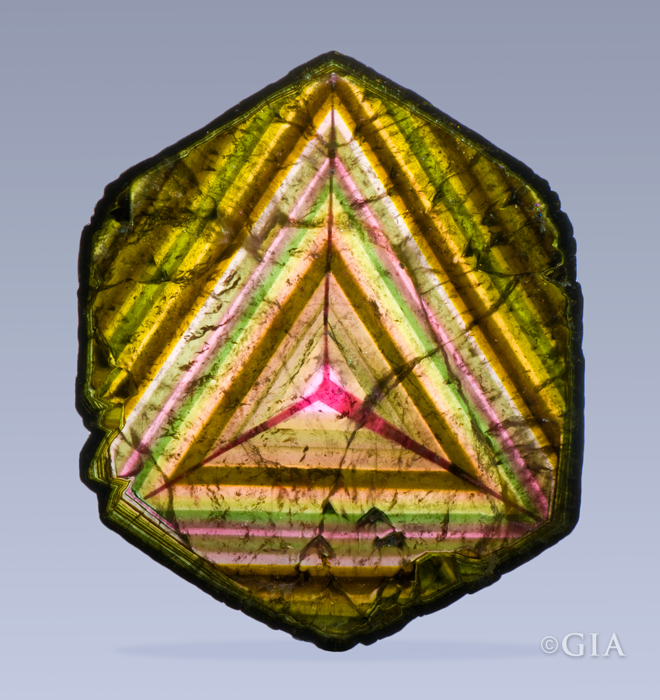 (hesitantly waves) Hi y'all. Liddicoatite-tourmaline-slice