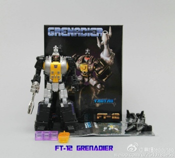 [Fanstoys] Produit Tiers - Jouet FT-12 Grenadier / FT-13 Mercenary / FT-14 Forager - aka Insecticons - Page 2 0pzm7MQB