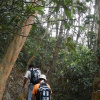 Hiking 青草地 Tsuen Wan Q5cayGyj