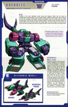 Encyclopédie Transformers des personnages Decepticons ZeCgLu26