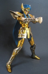 [Bandai] Saint Cloth Myth EX - Camus de Aquário - Página 30 XEact8yI