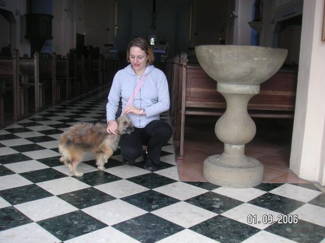 dans - incroyable mais vrai :750 animaux( chiens anes chats ect )baptisés dans une seule église 570315687