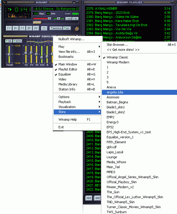 Winampda Kendi Skinini (Arayüzünü) Kendin Yap Skinner Too Aeb9ll5fibflr090k