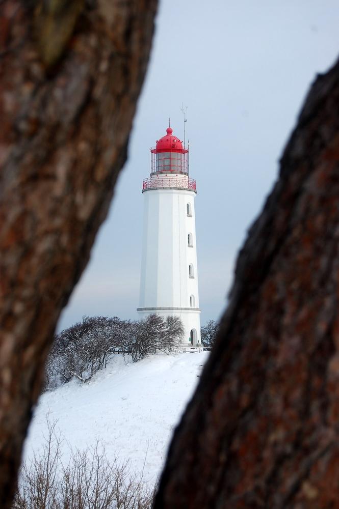 Leuchtturm "Hiddensee"  KIBRI 1:87  FERTIG - Seite 2 Boxcxnjcuu4trx8jb