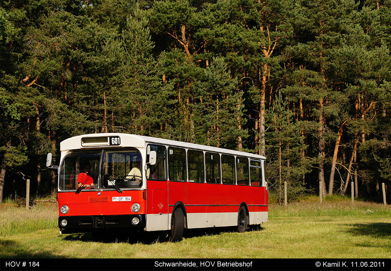 Eure Busbilder - Seite 38 Bufpigpv9sn7hlbo4