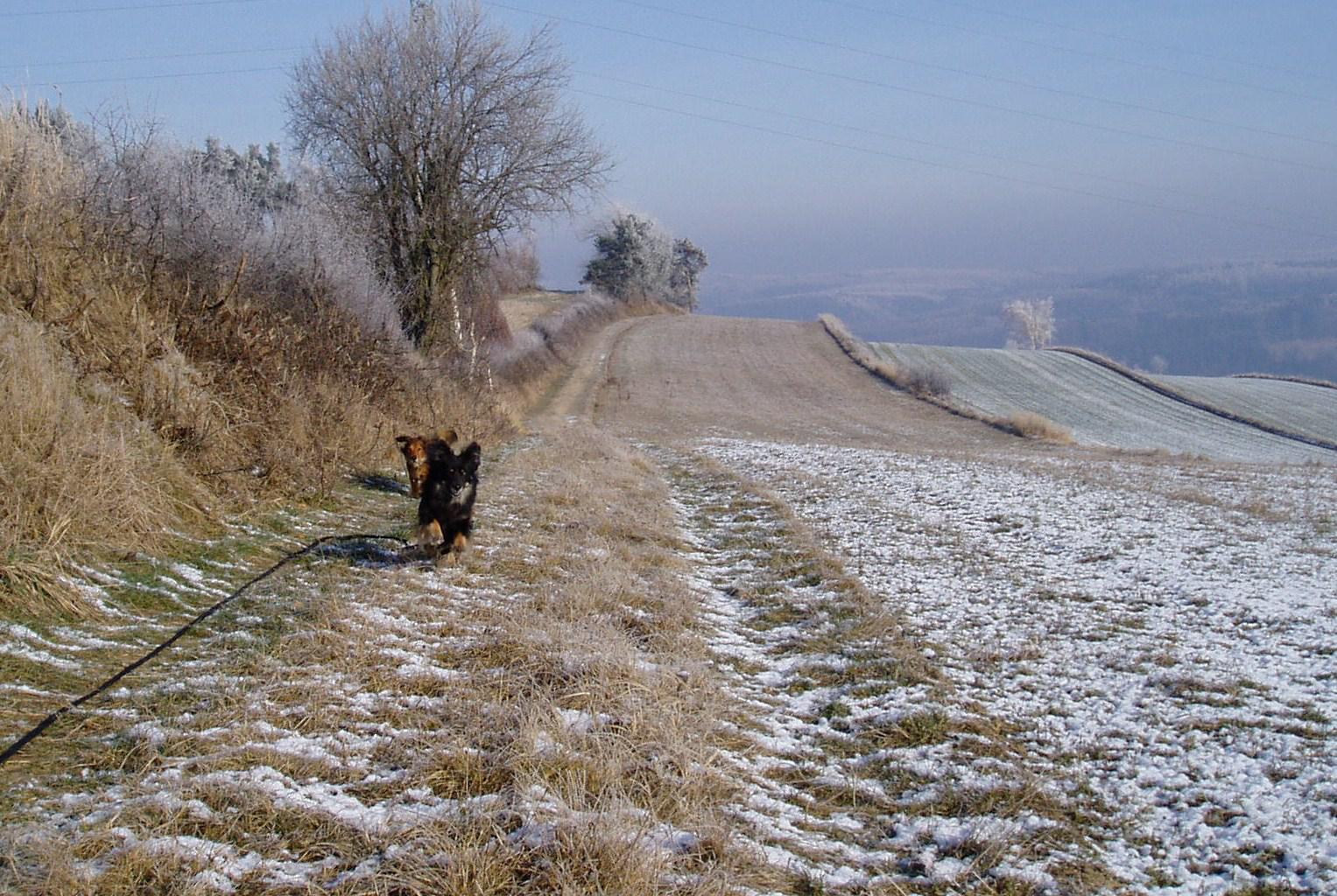 Traumwetter - Seite 6 C0tyqdpglwyt443nt